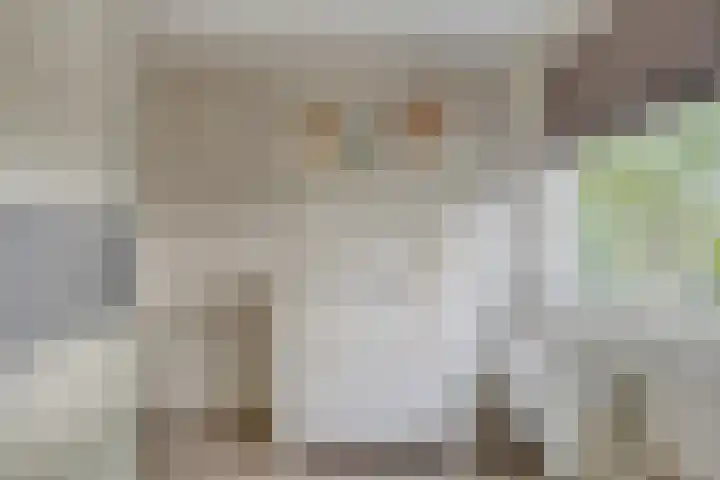 Kardinaal de Jongsingel 21 's-Hertogenbosch thumbnail 20