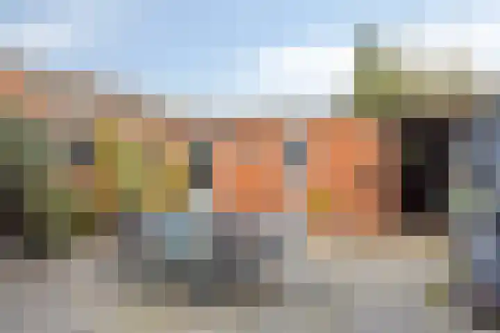 Kardinaal de Jongsingel 21 's-Hertogenbosch thumbnail 28