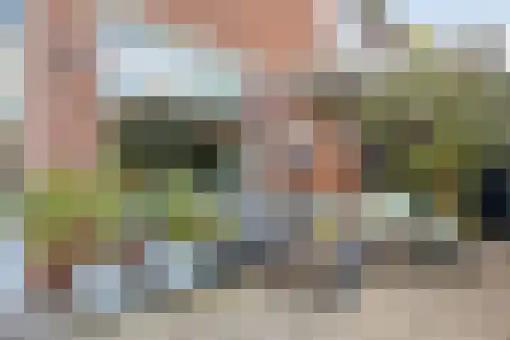 Kardinaal de Jongsingel 21 's-Hertogenbosch thumbnail 30