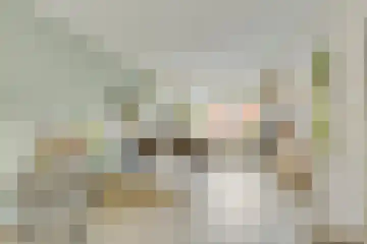 Kardinaal de Jongsingel 21 's-Hertogenbosch thumbnail 5