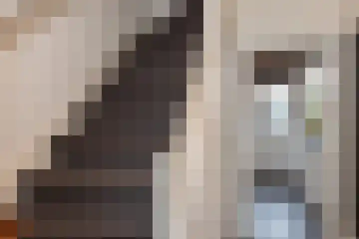 Kardinaal de Jongstraat 11 Groenlo thumbnail 12