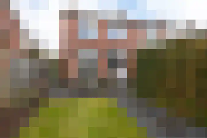 Kardinaal de Jongstraat 11 Groenlo thumbnail 29