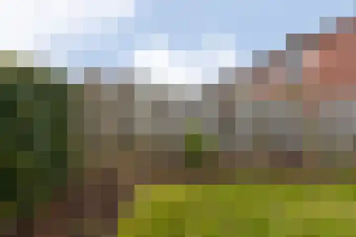 Kardinaal de Jongstraat 11 Groenlo thumbnail 32