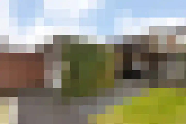 Kardinaal de Jongstraat 11 Groenlo thumbnail 34