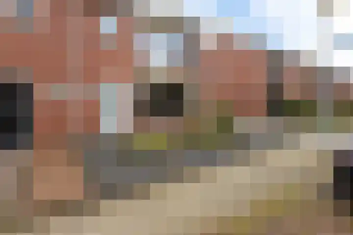 Kardinaal de Jongstraat 11 Groenlo thumbnail 38