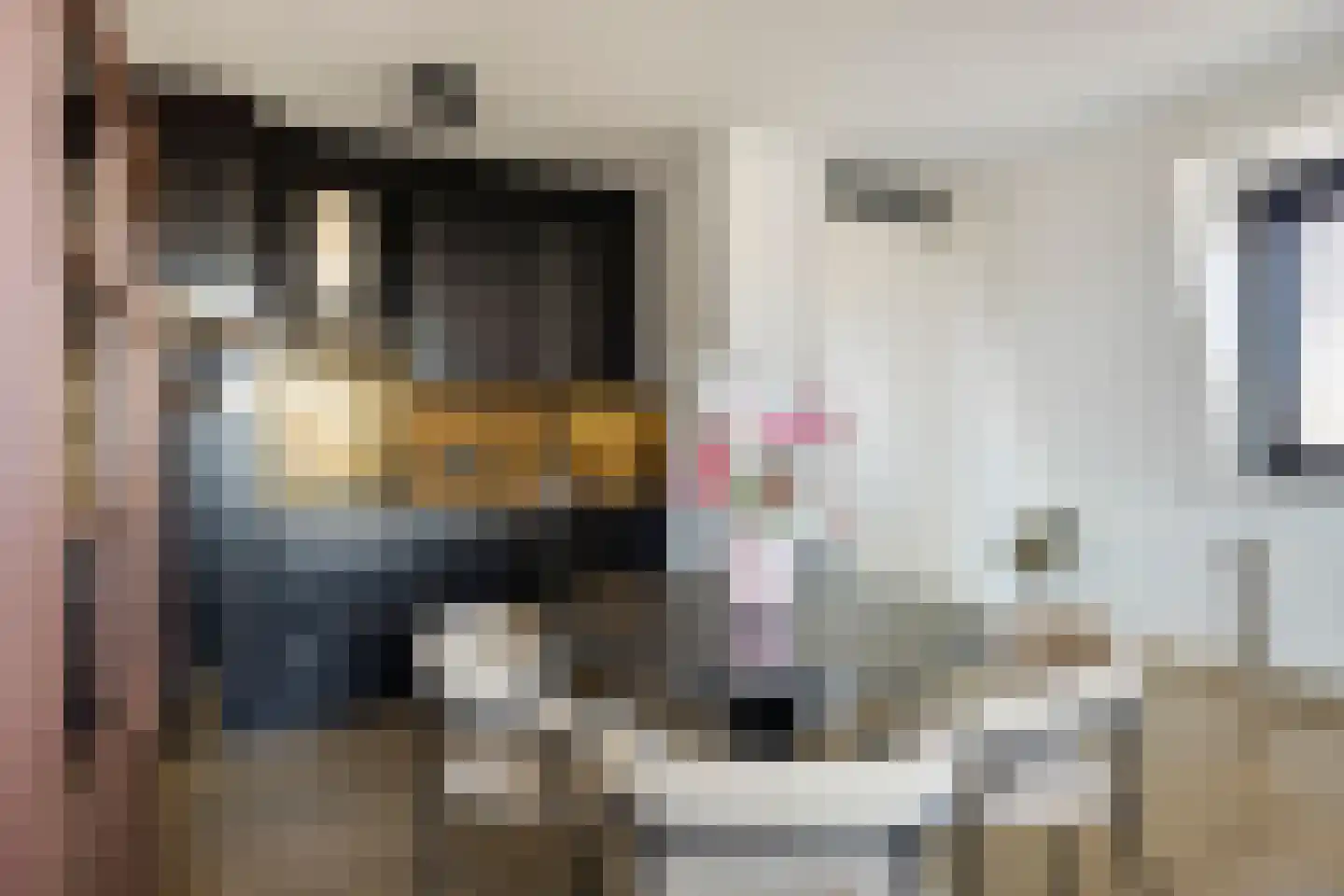 Kardinaal de Jongstraat 2 D Oss thumbnail 10