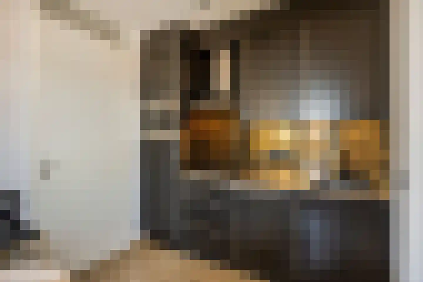 Kardinaal de Jongstraat 2 D Oss thumbnail 12