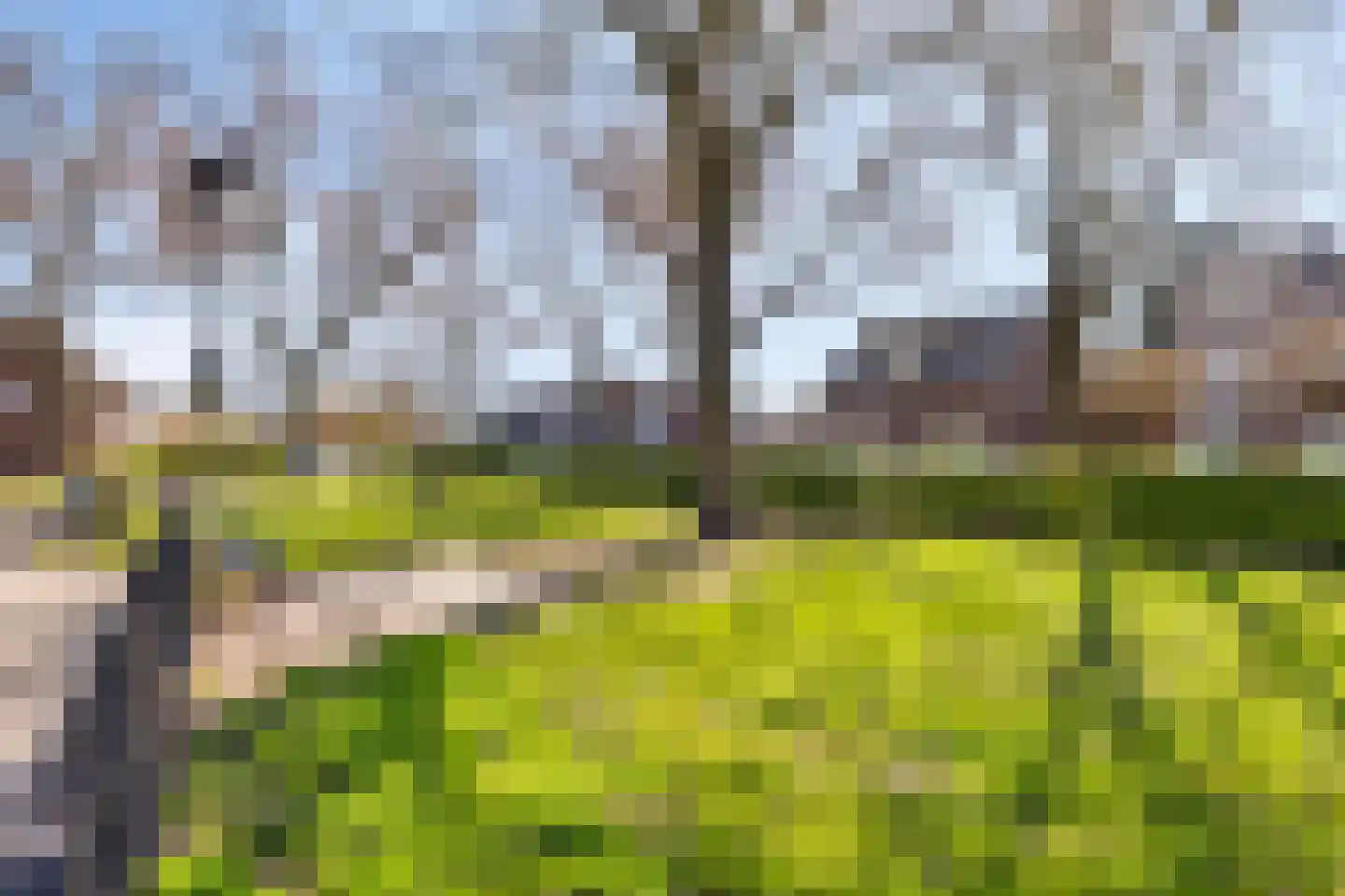 Kardinaal de Jongstraat 2 D Oss thumbnail 23