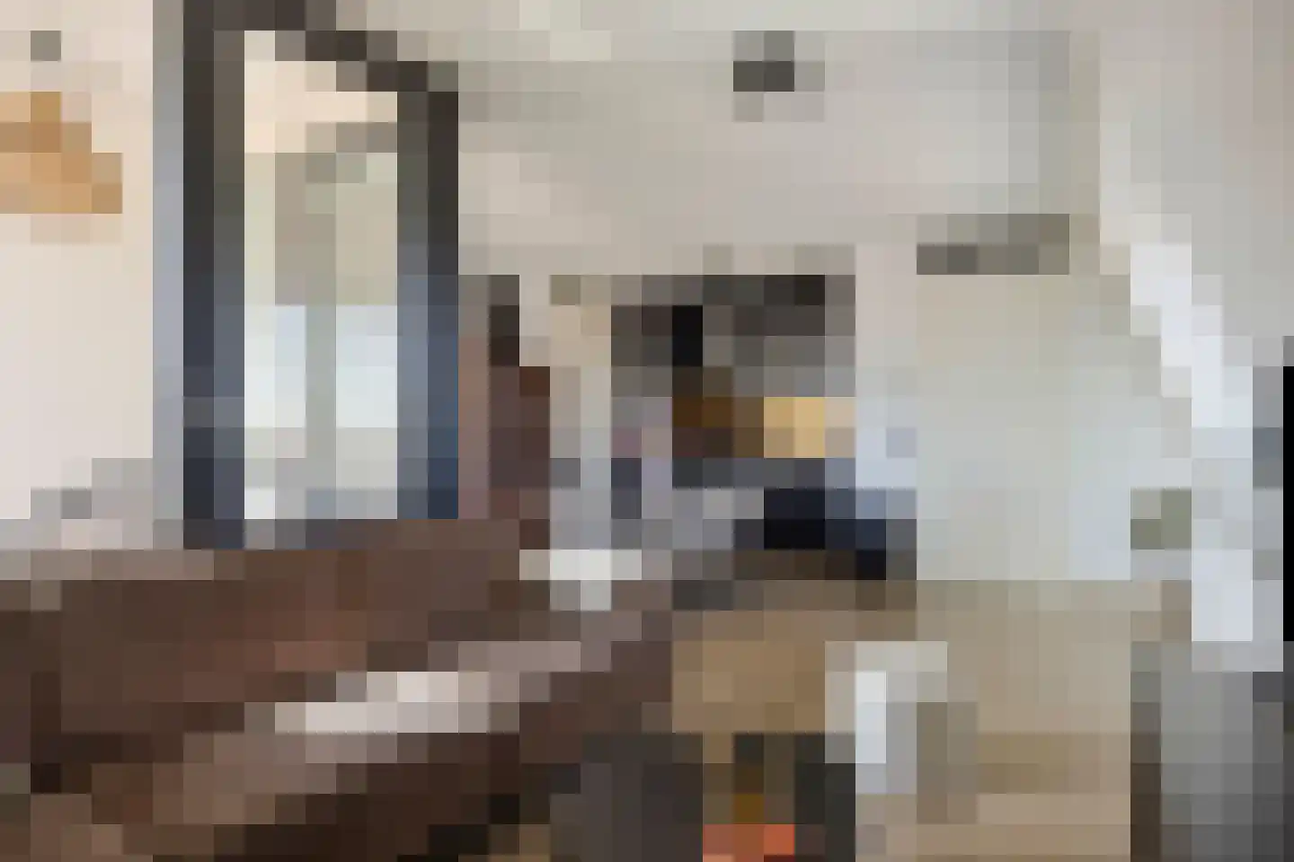 Kardinaal de Jongstraat 2 D Oss thumbnail 8