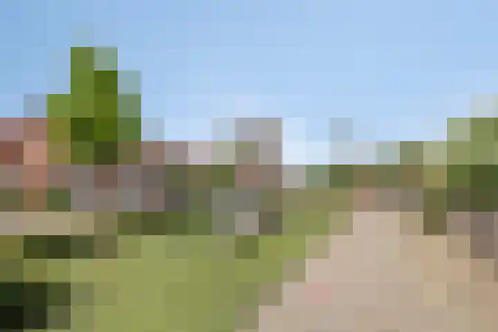 Kardinaal de Jongstraat 20 Oss thumbnail 33