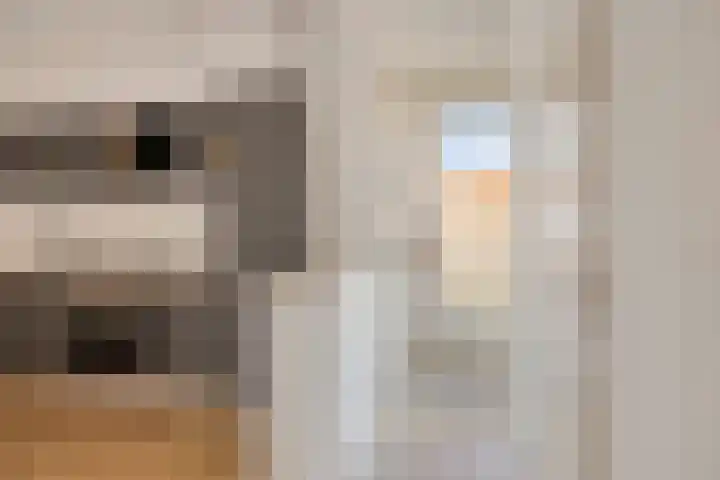 Kardinaal de Jongstraat 22 A Oss thumbnail 14