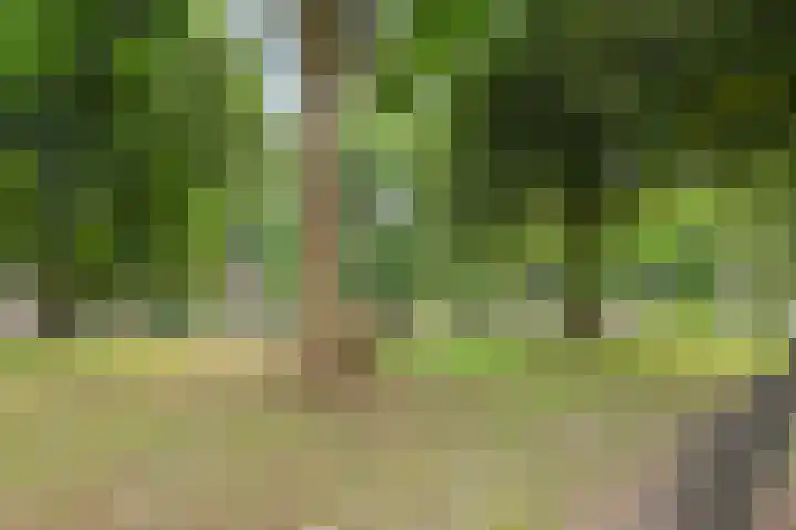 Kardinaal de Jongstraat 22 A Oss thumbnail 27