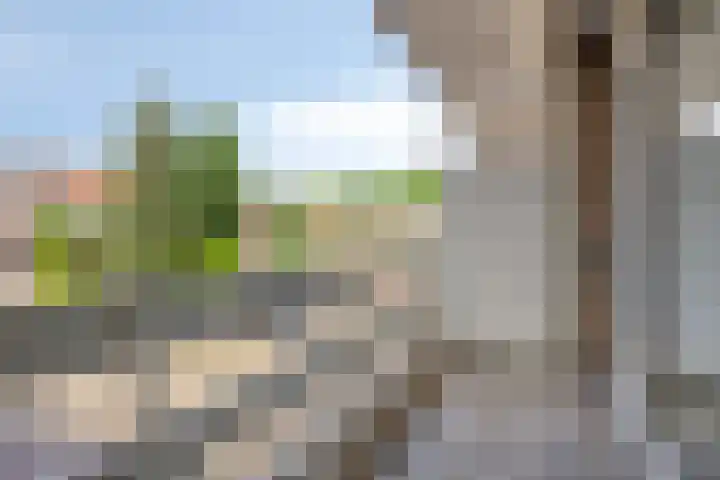 Kardinaal de Jongstraat 22 A Oss thumbnail 5