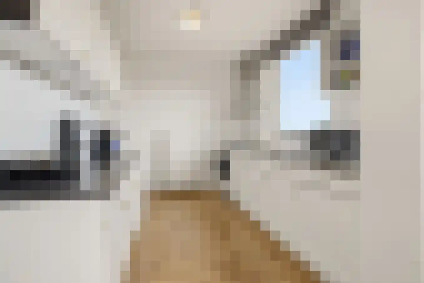 Kardinaal de Jongstraat 26 A Oss thumbnail 4