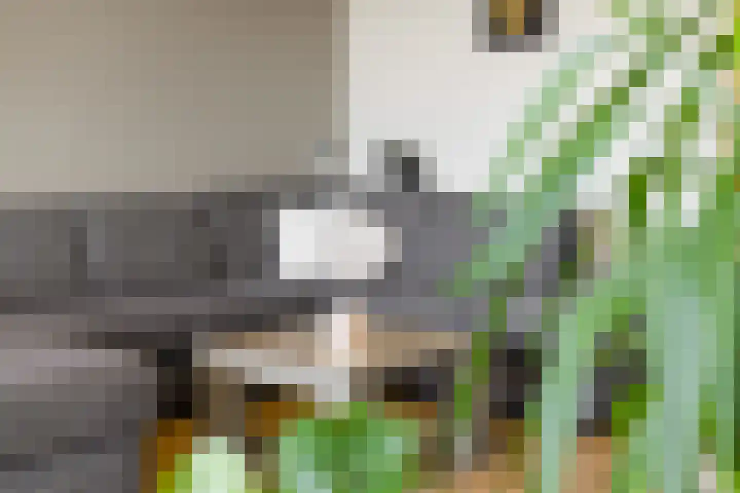 Kardinaal de Jongstraat 26 A Oss thumbnail 8