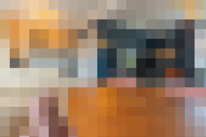 Kardinaal de Jongstraat 3 Lichtenvoorde thumbnail 10