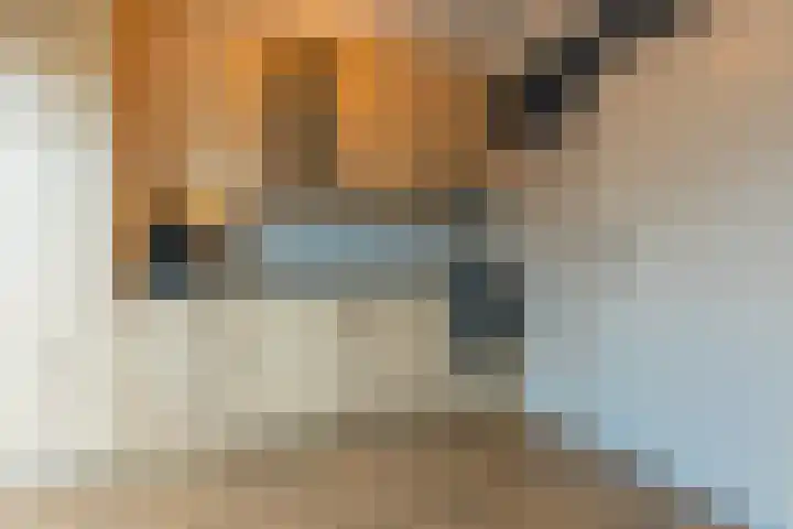 Kardinaal de Jongstraat 3 Lichtenvoorde thumbnail 12