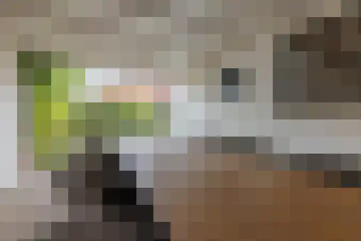 Kardinaal de Jongstraat 3 Lichtenvoorde thumbnail 39