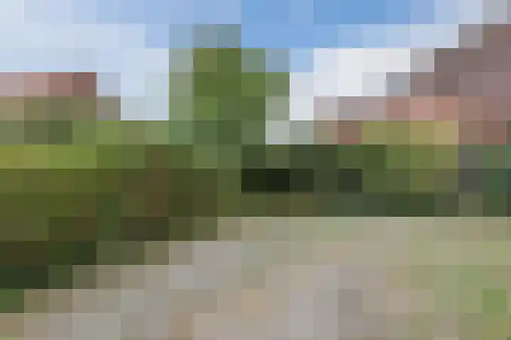 Kardinaal de Jongstraat 3 Lichtenvoorde thumbnail 48