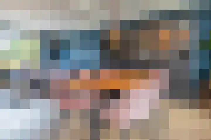 Kardinaal de Jongstraat 3 Lichtenvoorde thumbnail 6