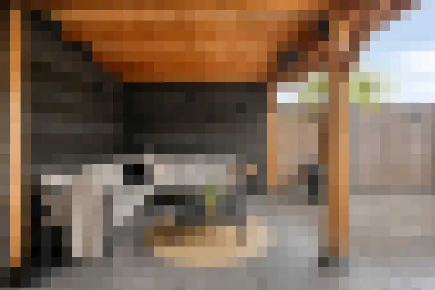 Kardinaal de Jongstraat 32 D Oss thumbnail 20
