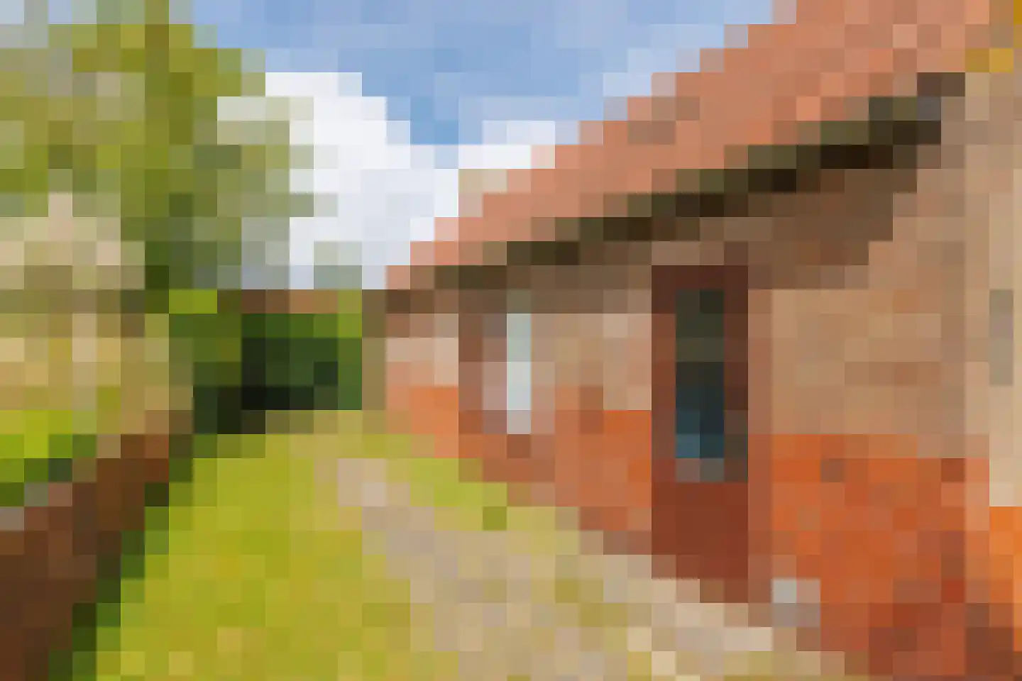 Kardinaal de Jongweg 25 Nes thumbnail 29