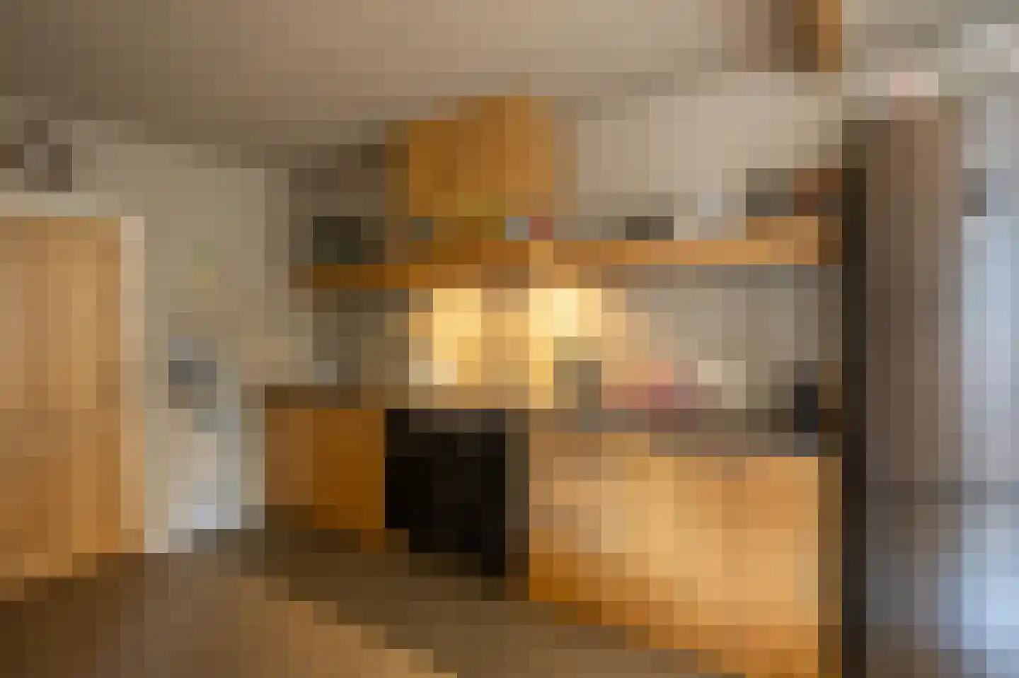 Kardinaal de Jongweg 4 Nes thumbnail 5