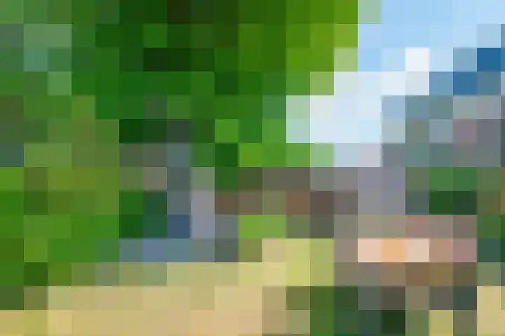 Kardinaal de Jongweg 7 Nes thumbnail 22