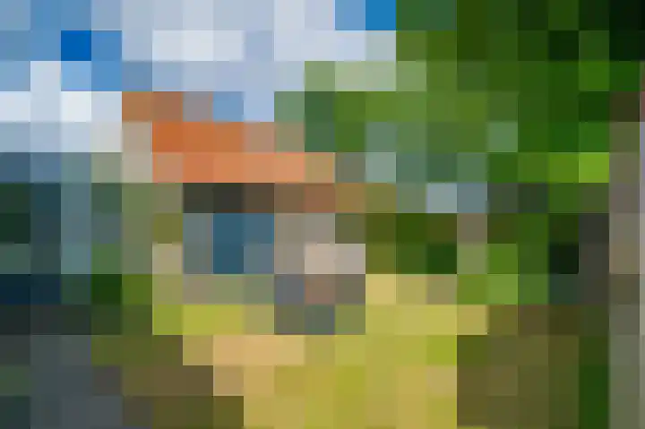 Kardinaal de Jongweg 7 Nes thumbnail 23