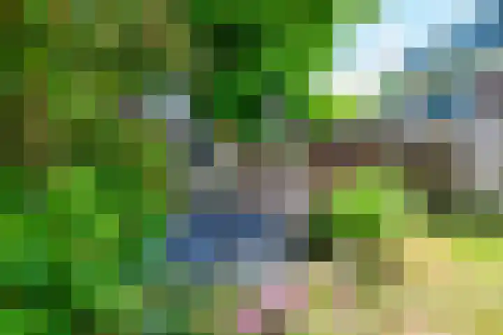 Kardinaal de Jongweg 7 Nes thumbnail 24