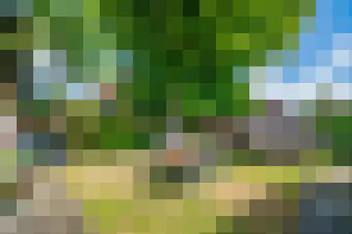 Kardinaal de Jongweg 7 Nes thumbnail 25