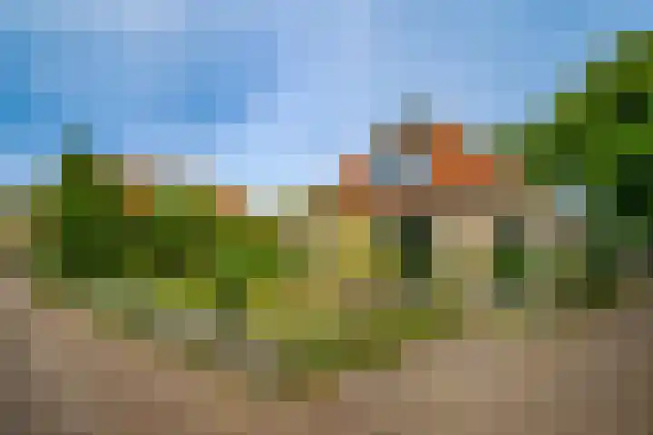Kardinaal de Jongweg 7 Nes thumbnail 42