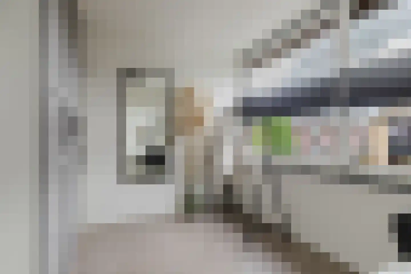 Kardinaal Frankenbergstraat 17 Rijsbergen thumbnail 20