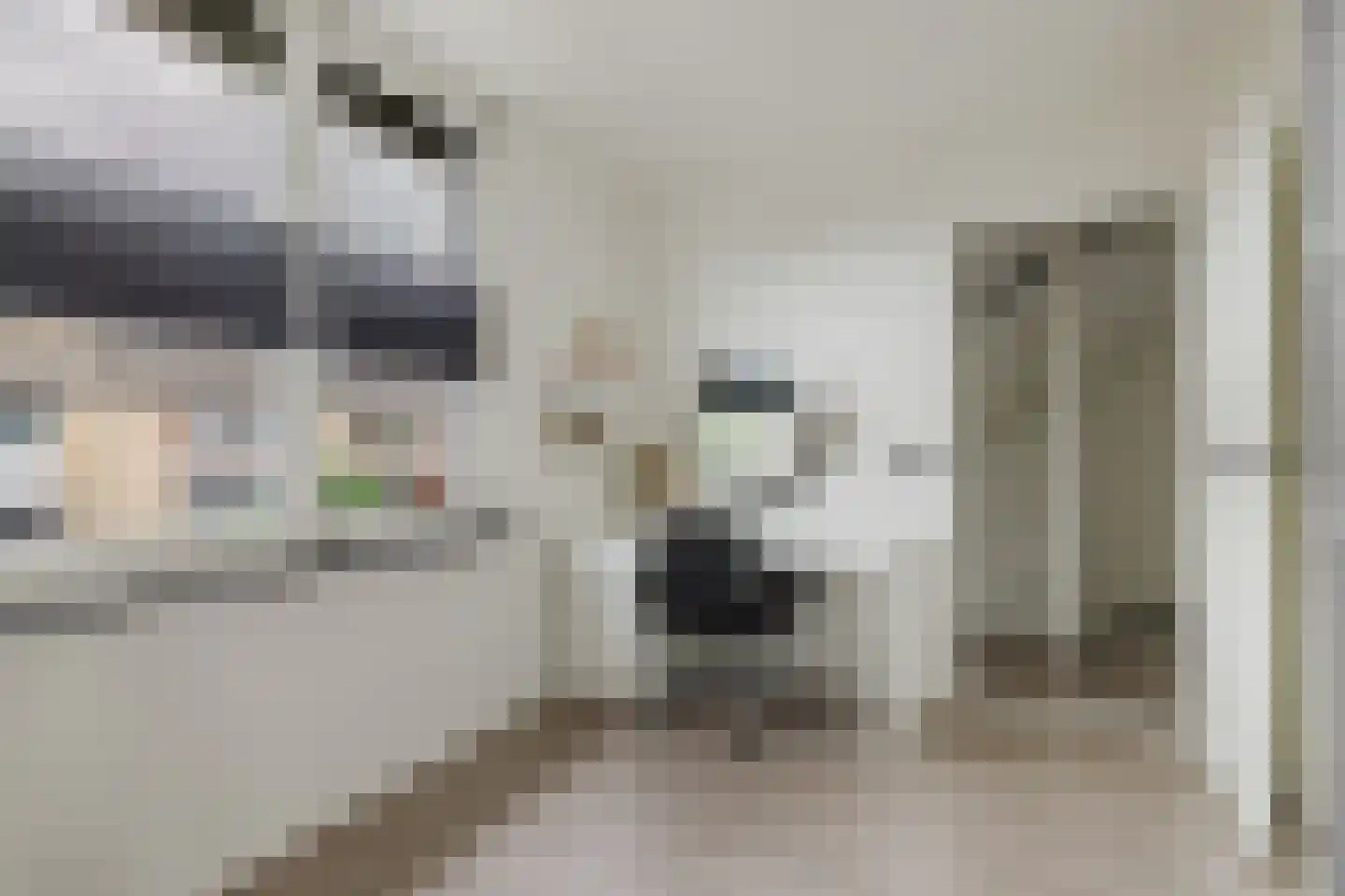Kardinaal Frankenbergstraat 17 Rijsbergen thumbnail 21