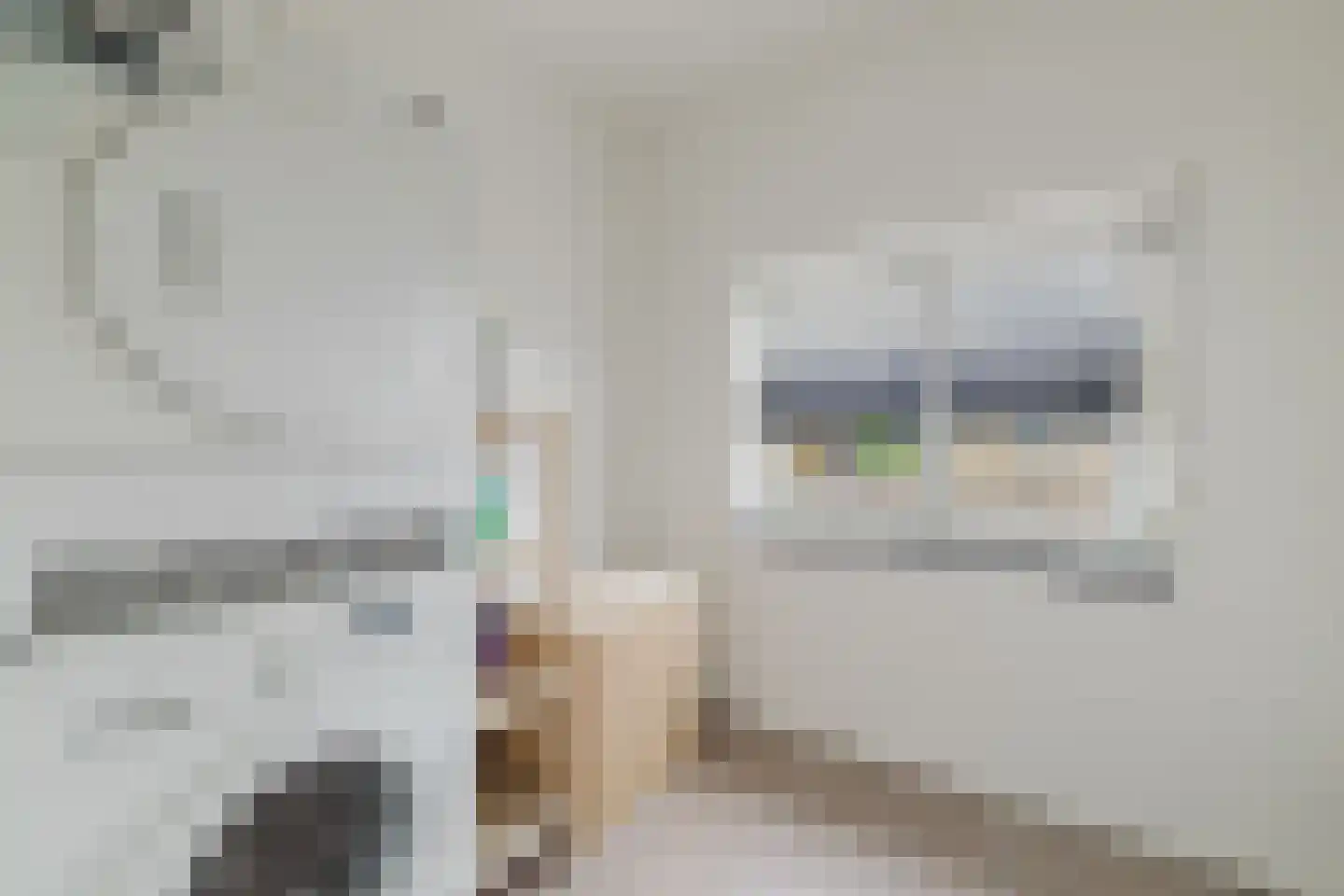 Kardinaal Frankenbergstraat 17 Rijsbergen thumbnail 23
