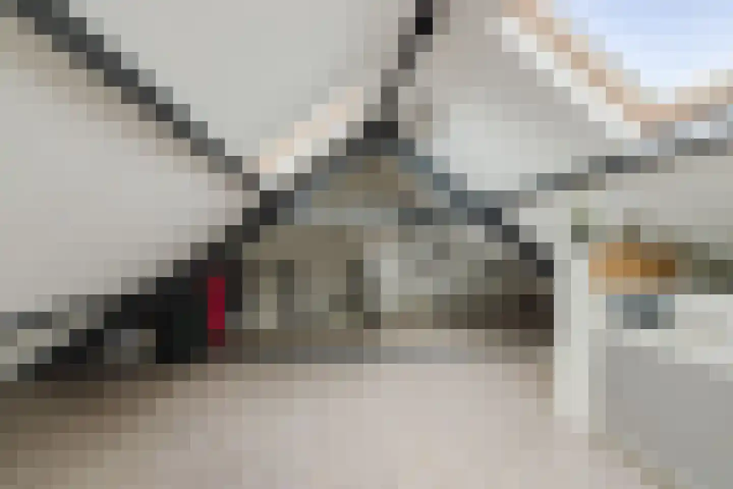 Kardinaal Frankenbergstraat 17 Rijsbergen thumbnail 27