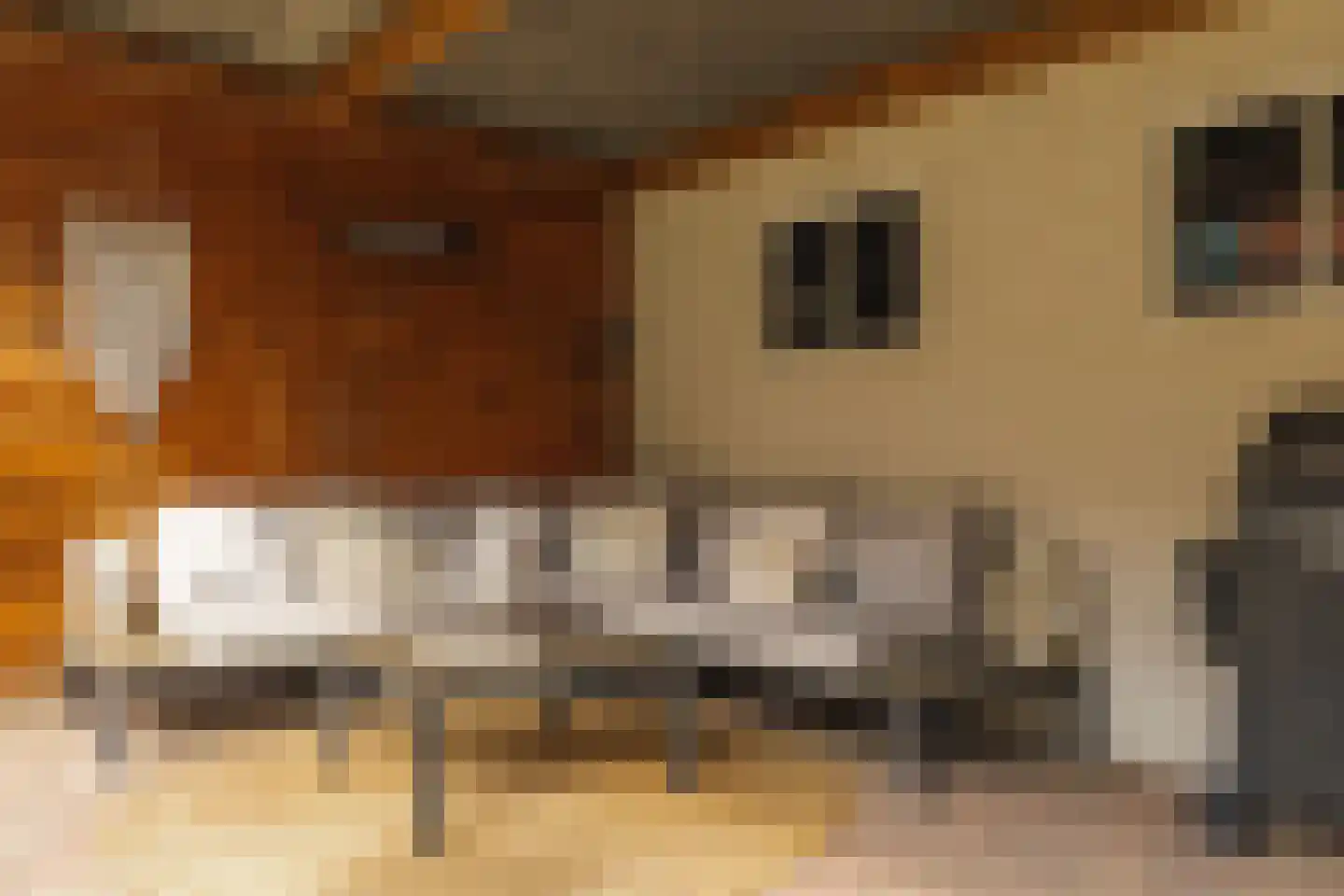 Kardinaal Frankenbergstraat 17 Rijsbergen thumbnail 33