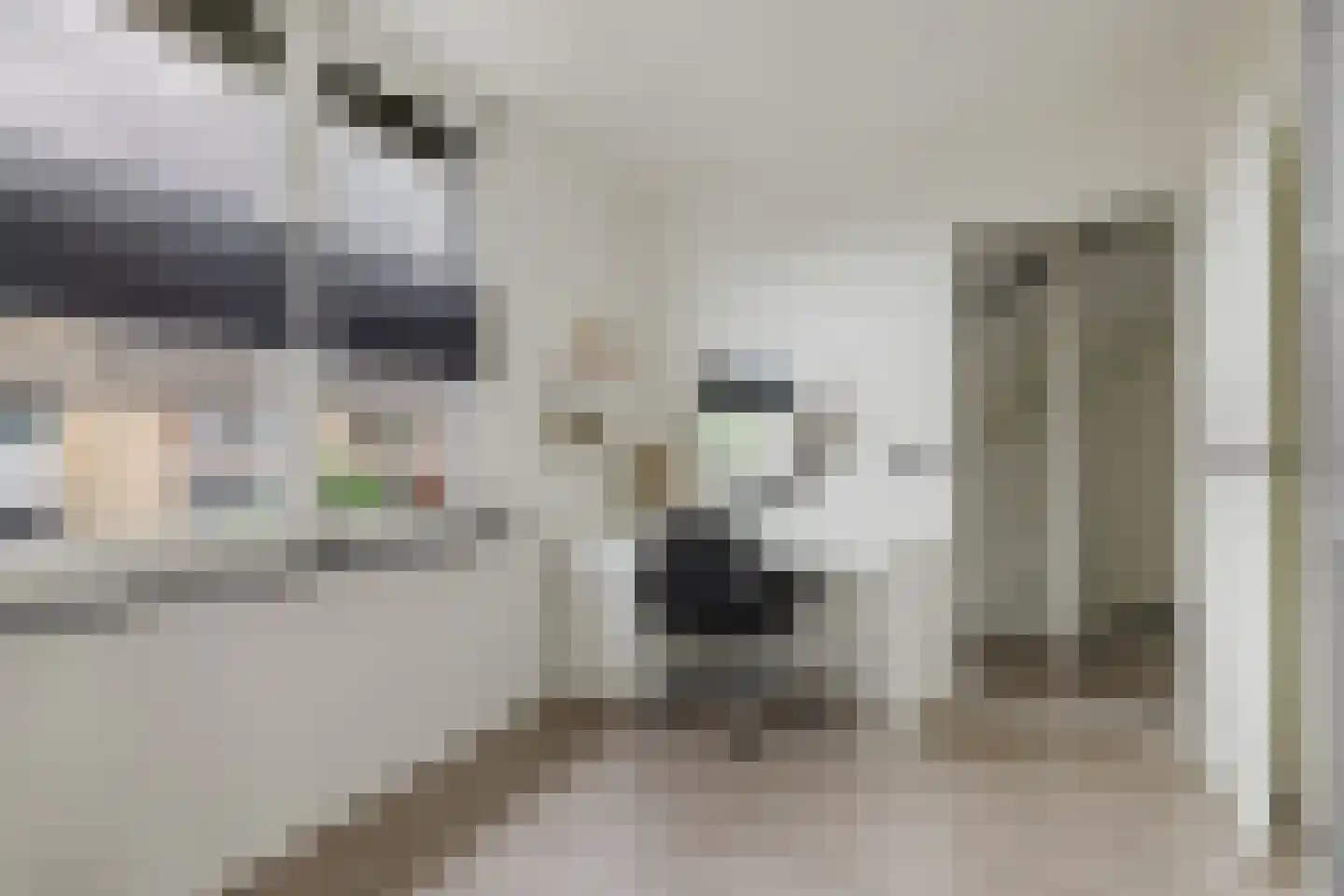 Kardinaal Frankenbergstraat 17 Rijsbergen thumbnail 5