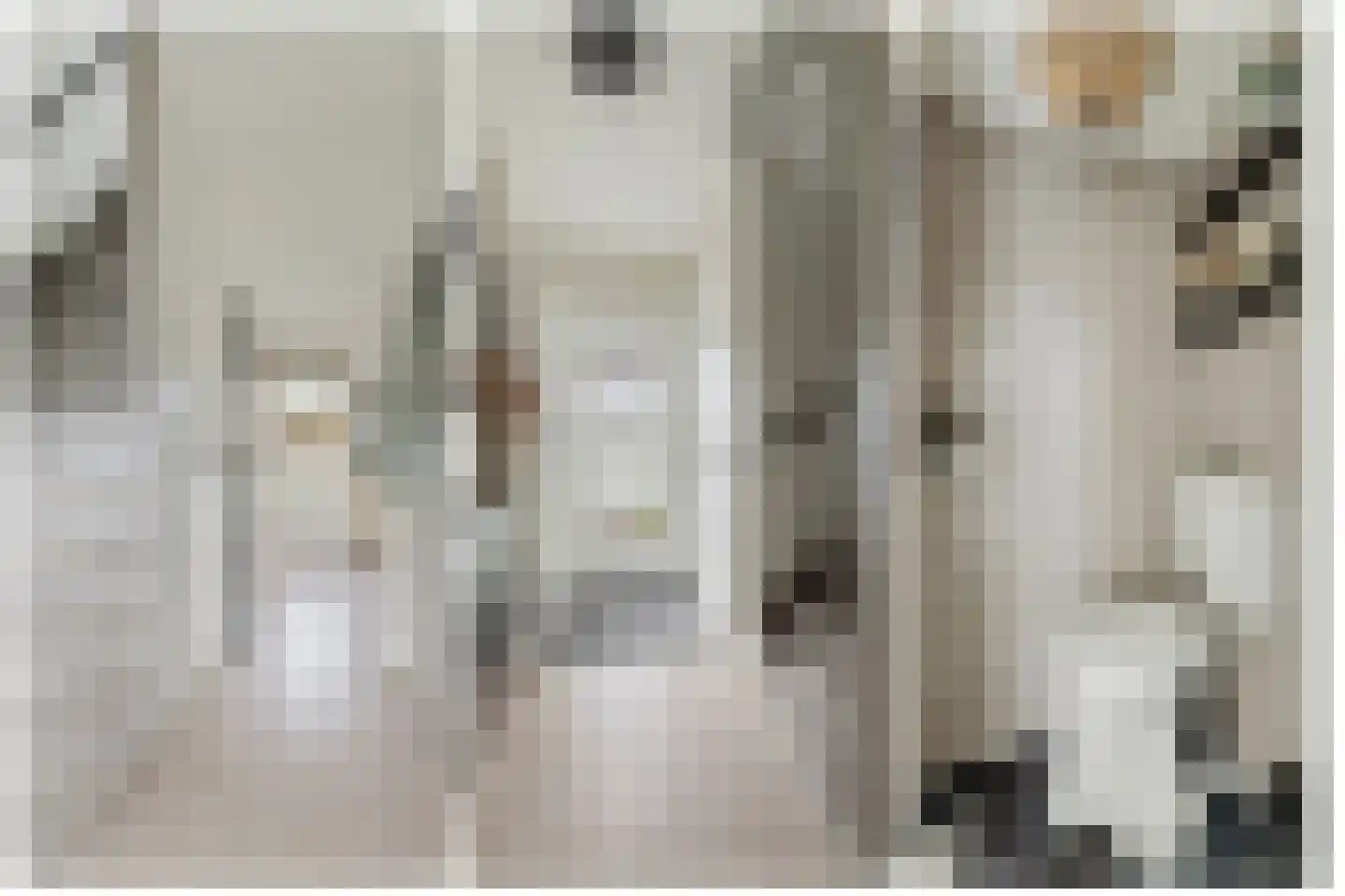 Kardinaal Frankenbergstraat 17 Rijsbergen thumbnail 6