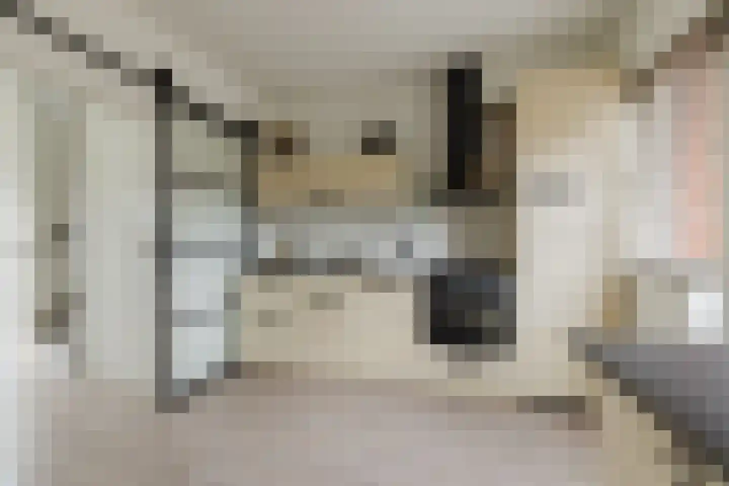 Kardinaal Frankenbergstraat 17 Rijsbergen thumbnail 7