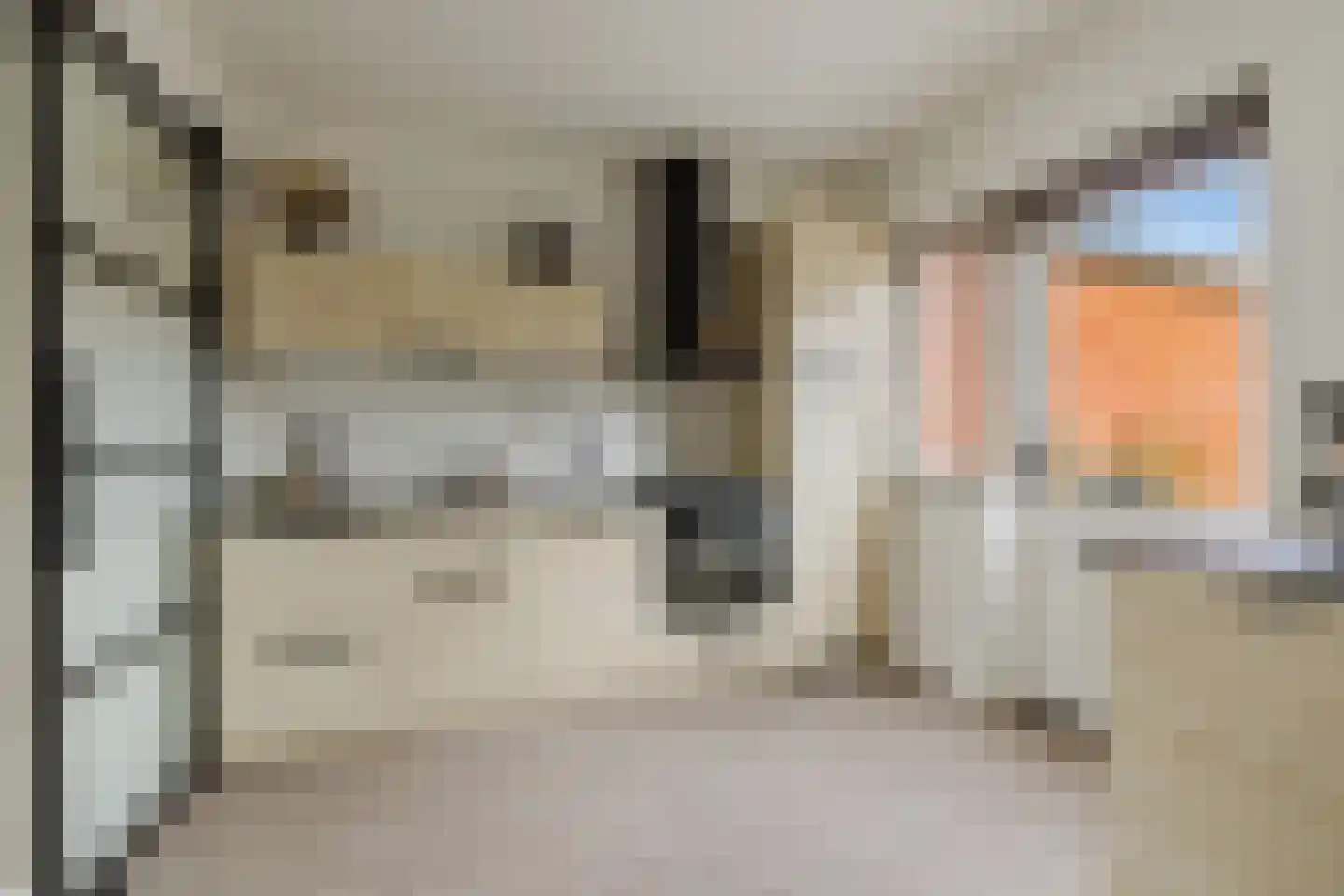 Kardinaal Frankenbergstraat 17 Rijsbergen thumbnail 8