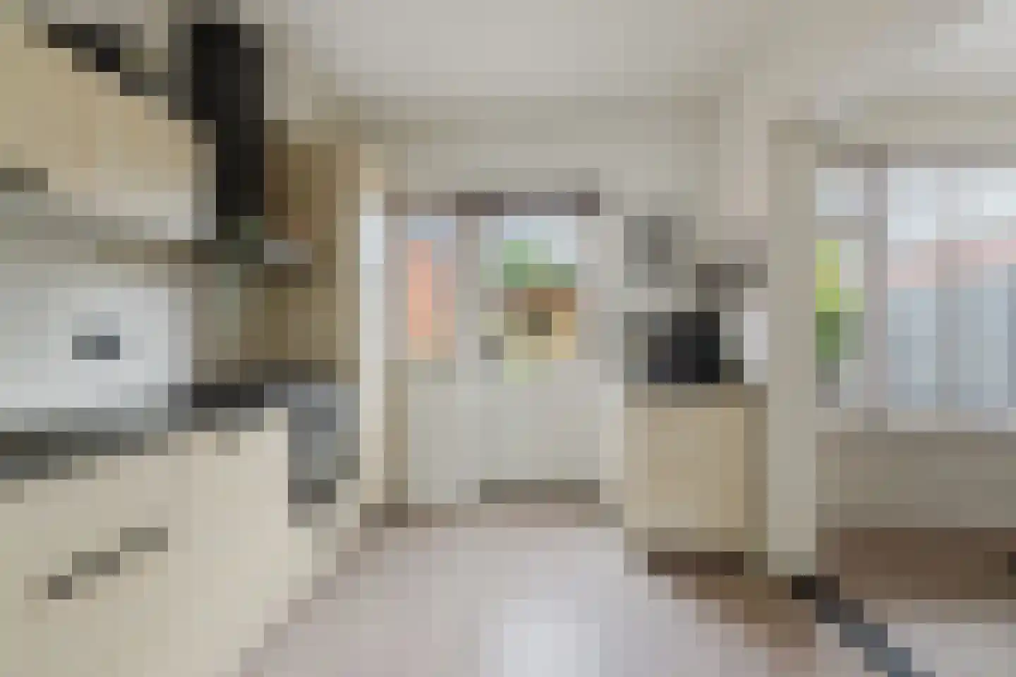 Kardinaal Frankenbergstraat 17 Rijsbergen thumbnail 9