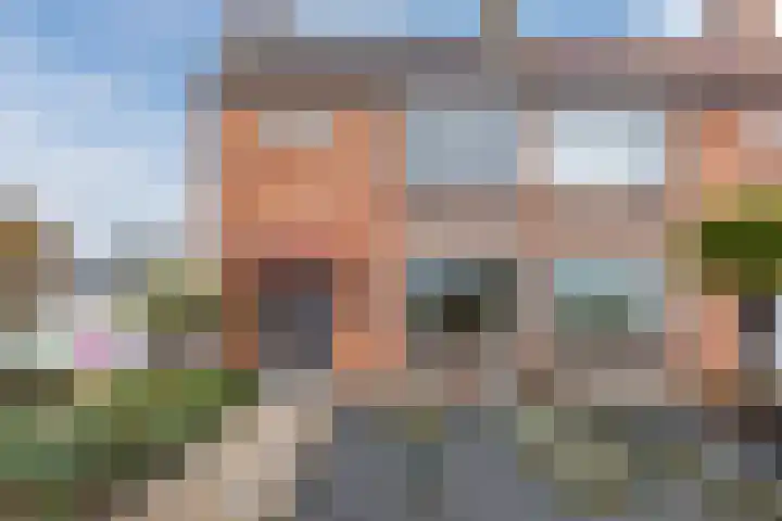Kardinaal Frankenbergstraat 21 Rijsbergen thumbnail 6