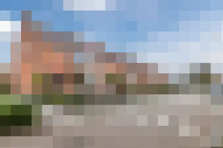 Kardinaal Frankenbergstraat 21 Rijsbergen thumbnail 8