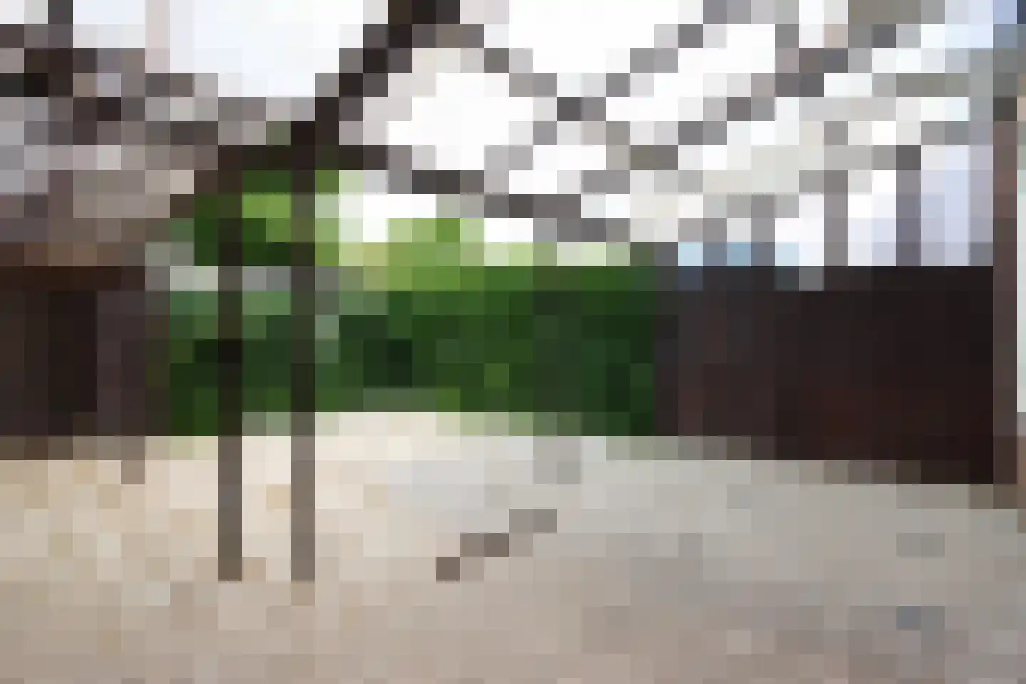 Kardinaal Gerardstraat 25 Groesbeek thumbnail 10