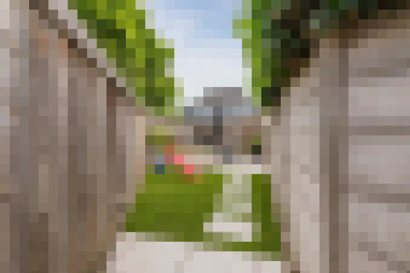 Kardinaal van Enckevoirtstraat 15 Tilburg thumbnail 23