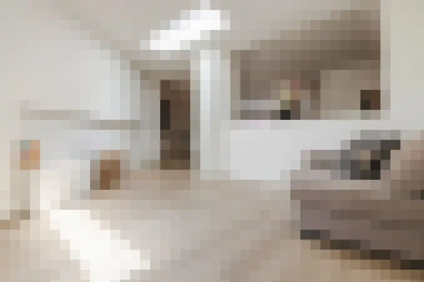 Kardinaal van Enckevoirtstraat 15 Tilburg thumbnail 25