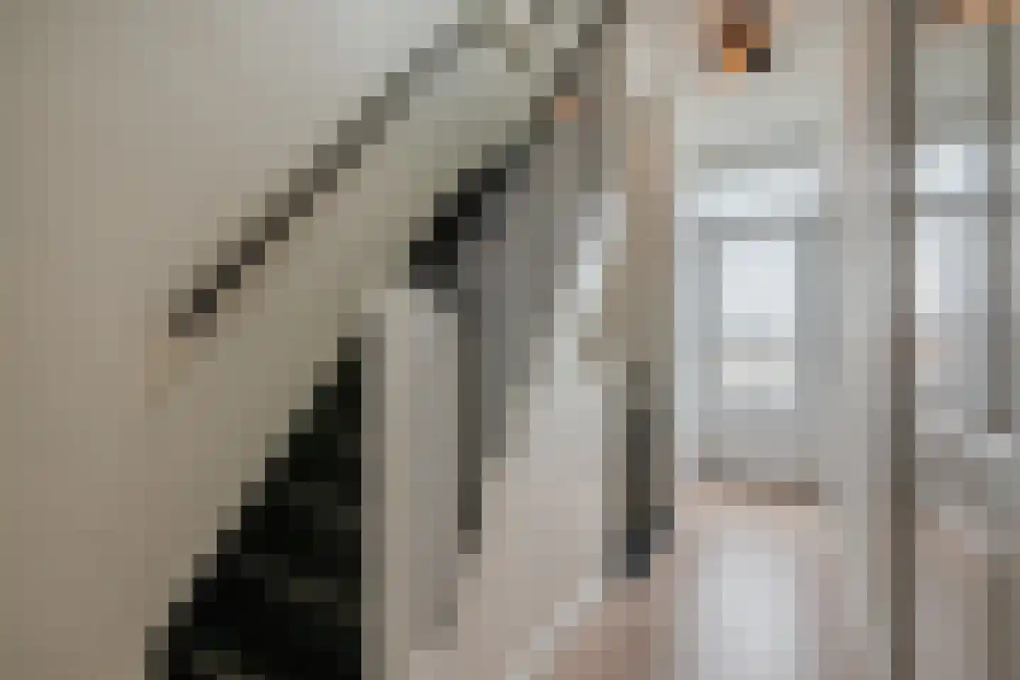 Kardinaal van Enckevoirtstraat 15 Tilburg thumbnail 43