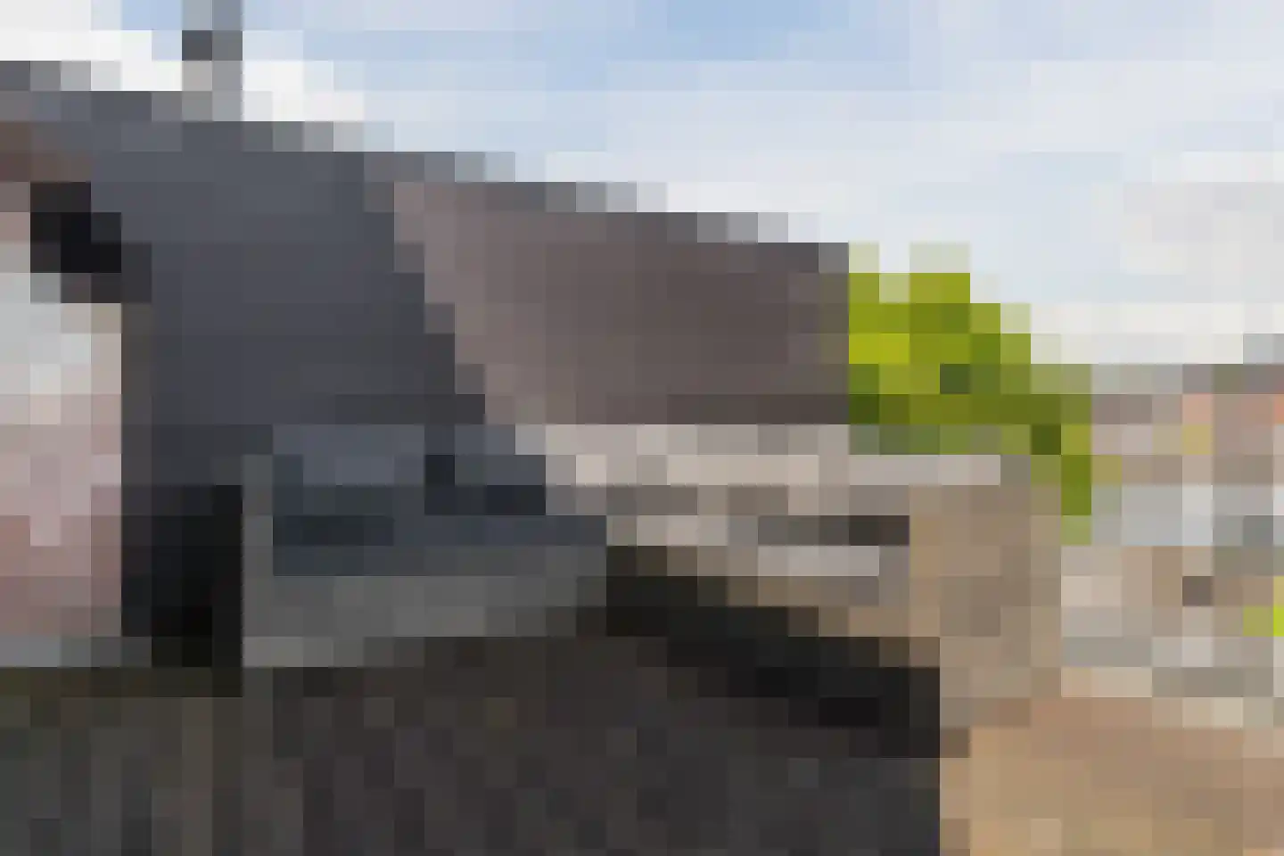 Kardinaal van Enckevoirtstraat 15 Tilburg thumbnail 47
