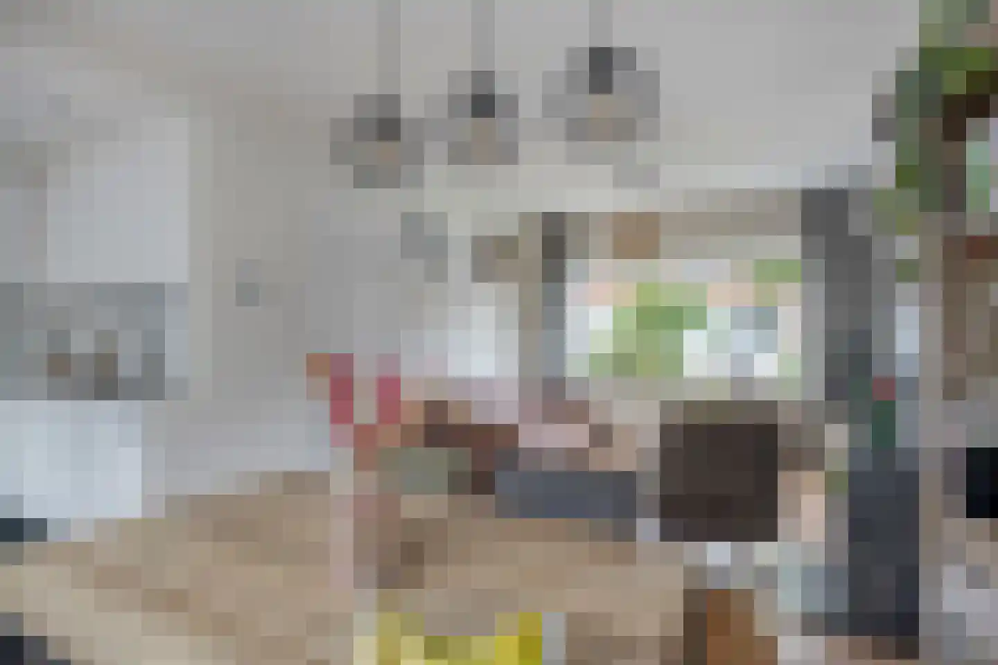 Kardinaal van Enckevoirtstraat 18 Eindhoven thumbnail 18